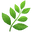 logo of Taste Plants - Breath Mints Made with Whole Plants & Extracts – taste plants